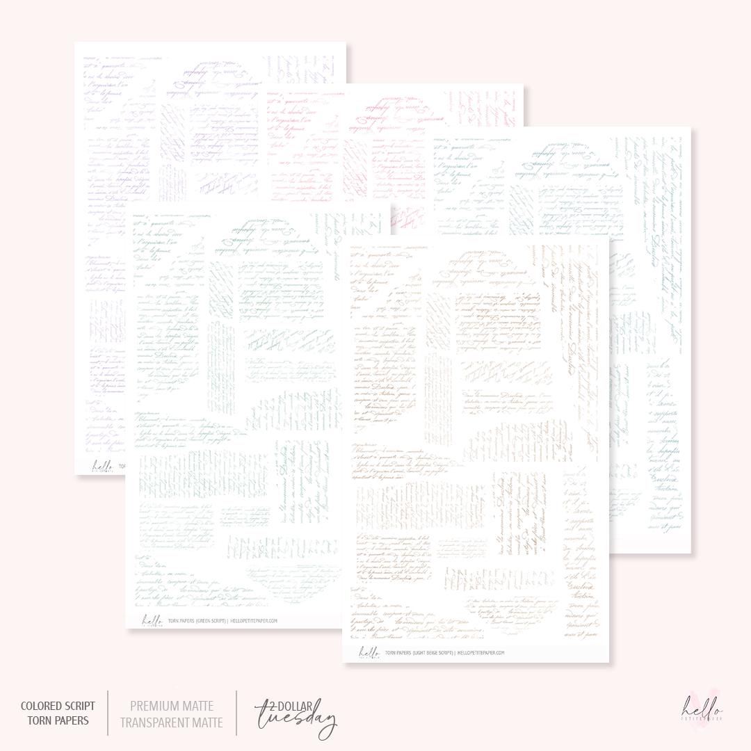 GRAB BAG (Torn Papers)