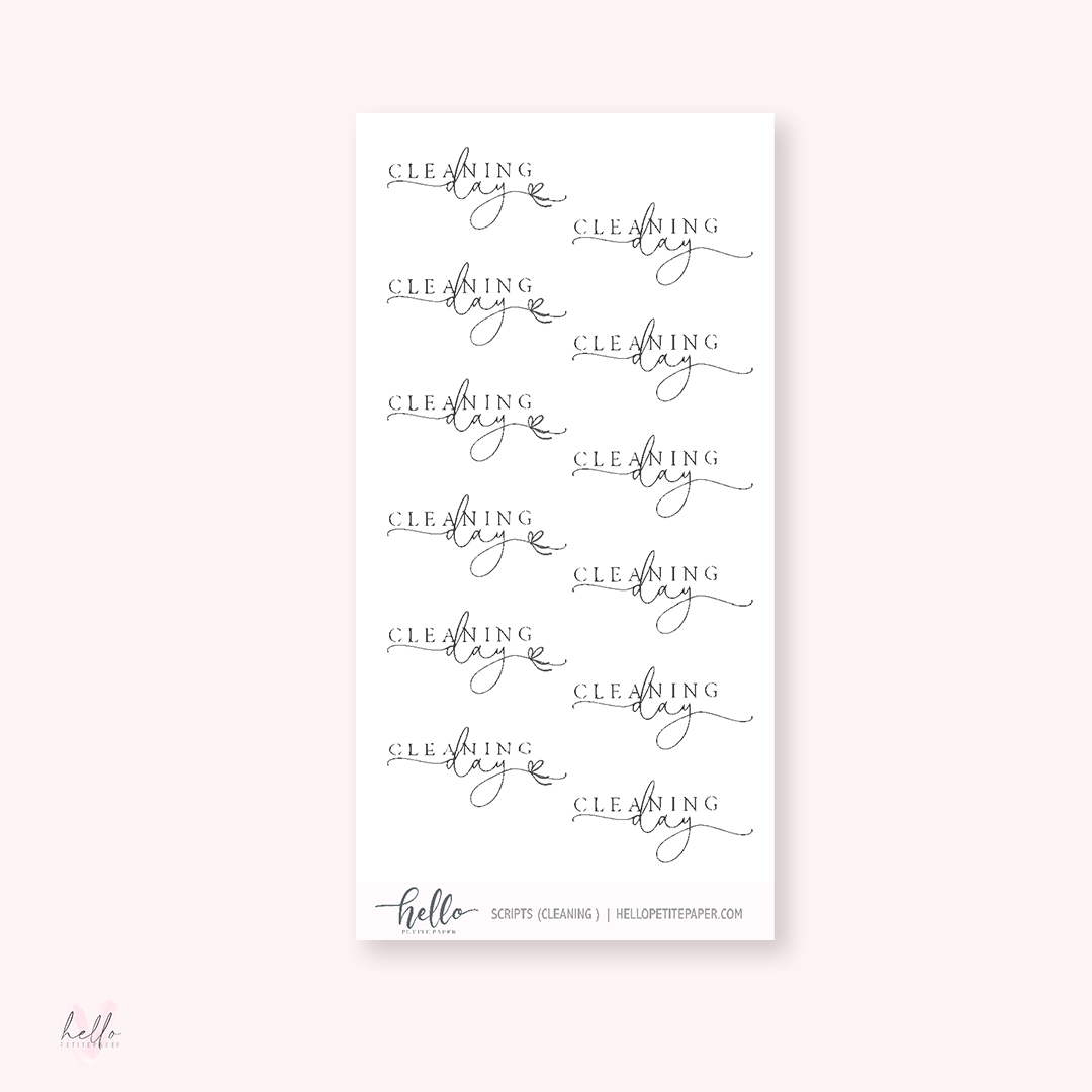 Mini scripts | Cleaning Day - planner stickers
