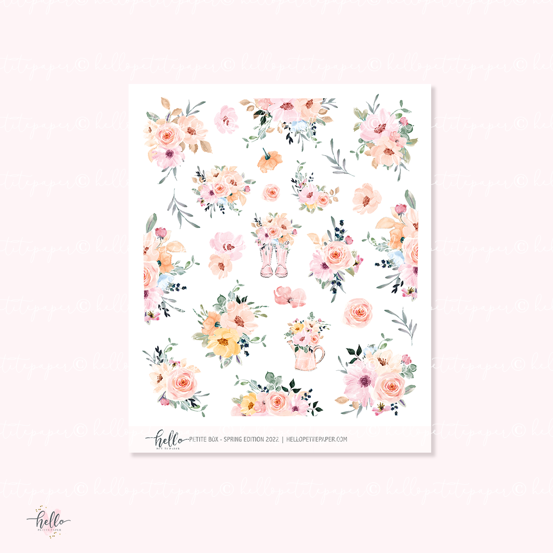 Petite Box - Spring Edition