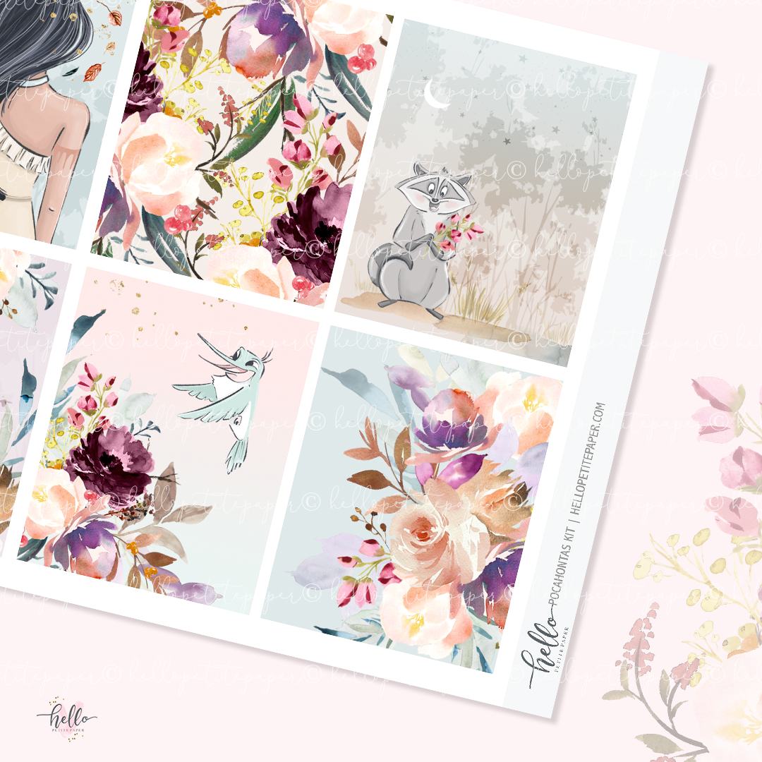 Pocahontas - Full Boxes