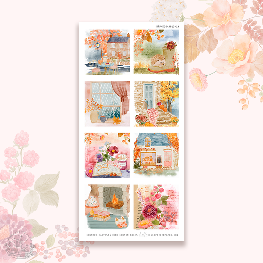 Country Harvest- Hobonichi cousin boxes stickers