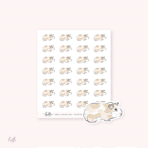 Doodle Icons (GUINEA PIG) | hand-drawn planner stickers