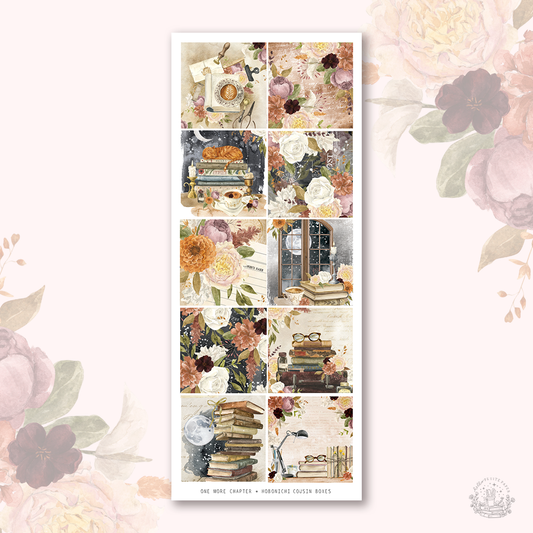 One more chapter  - Hobonichi cousin sticker boxes