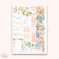 Squeeze the day  -  Hobonichi Cousin Sticker Kit
